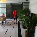 打造鮮活的辦公室綠化環境